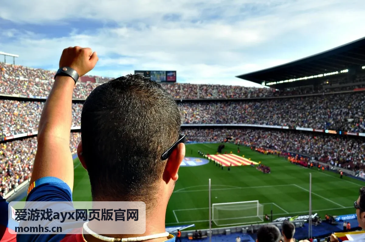专题合集封面：分组与赛程条目合并阅读